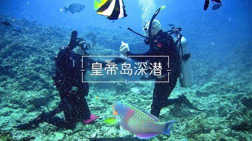 中国旅游研究院院长戴斌带队调研石景山区文化和旅游产业发展情况
